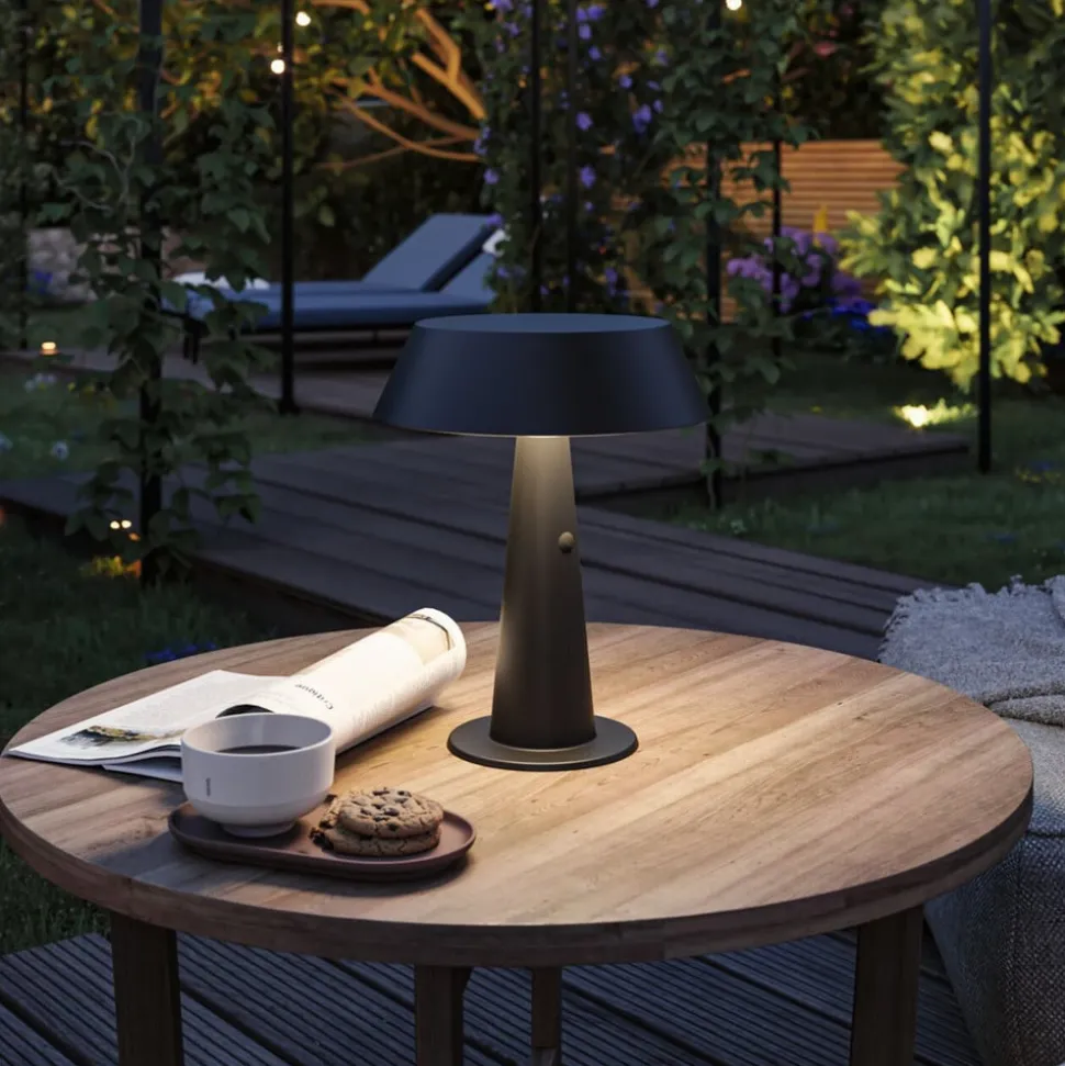 Soala Solcelle Lampe Anthracite - Paulmann