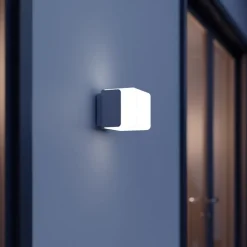 STEINEL L 835 SC Sensor udendørs væglampe antracit