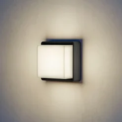 STEINEL L 845 SC udendørs LED-væglampe med sensor