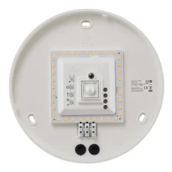 STEINEL RS PRO P1 S LED-loftlampe, sensor, 3.000 K