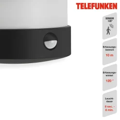 Toledo udendørs LED-væglampe, sensor, sort 4.000 K