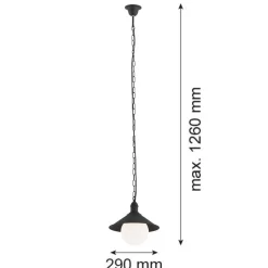 Udendørs hængelampe Enduro, sort, stål, glas, IP44, E27