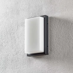 Udendørs LED-væglampe Babett, stål, glas, sensor