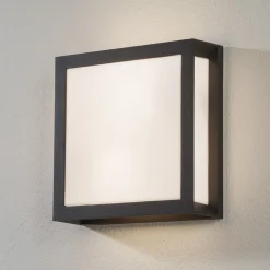 Udendørs væglampe Henry, antracit IP44