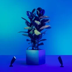 WiZ LED-spot Ground startsæt, dobbeltpakke