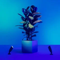 WiZ LED-spot Ground udvidelse, enkeltpakke